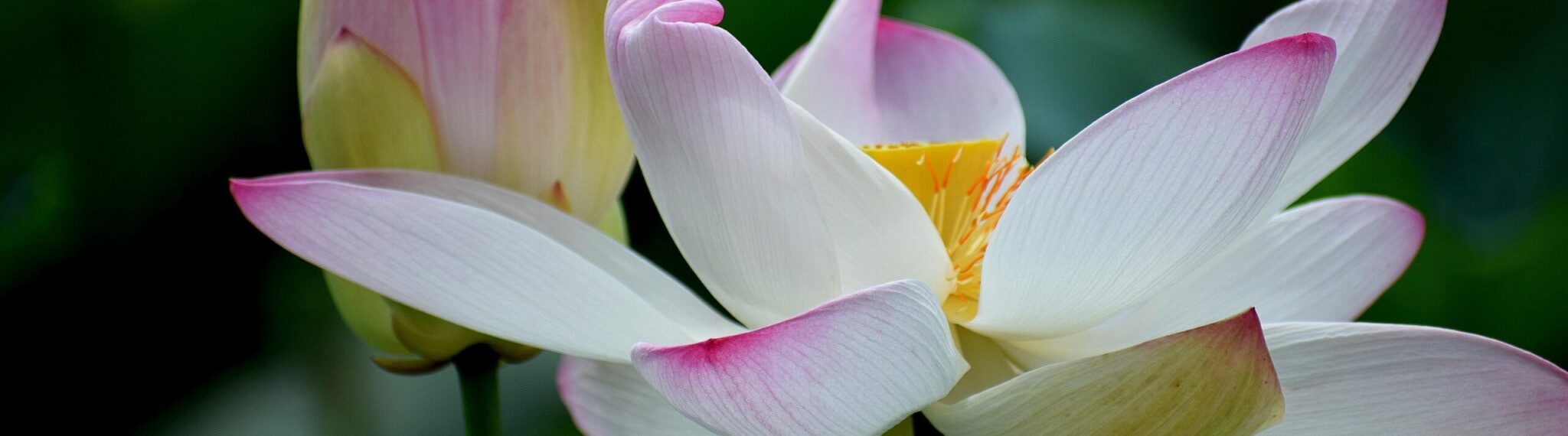 J'apprends à m'occuper de bébé mais pas de mon cycle